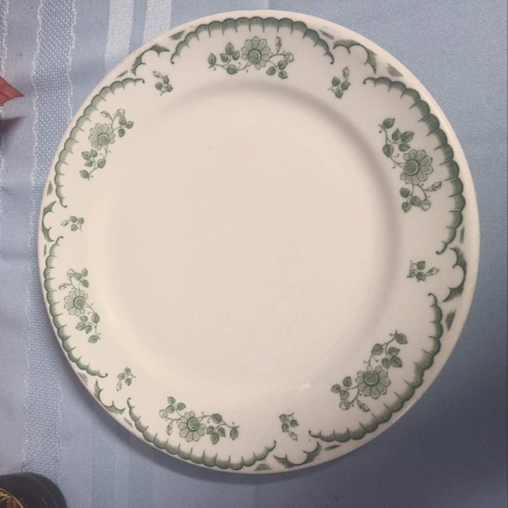 Shenango rose in green salad‎ plate